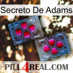 Adams Secret 15